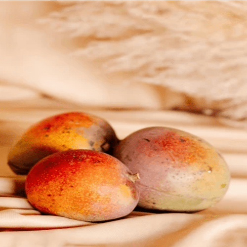 مانجو الفونسو طبيعية